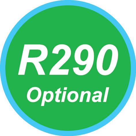 R290