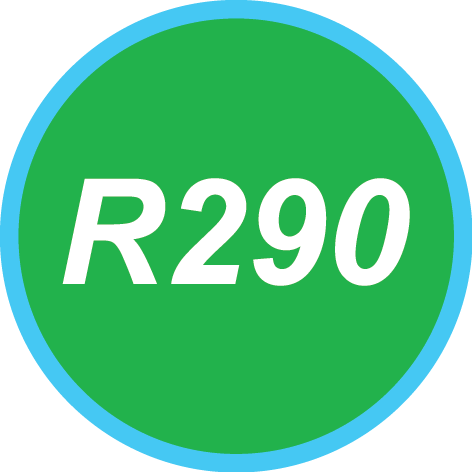 R290